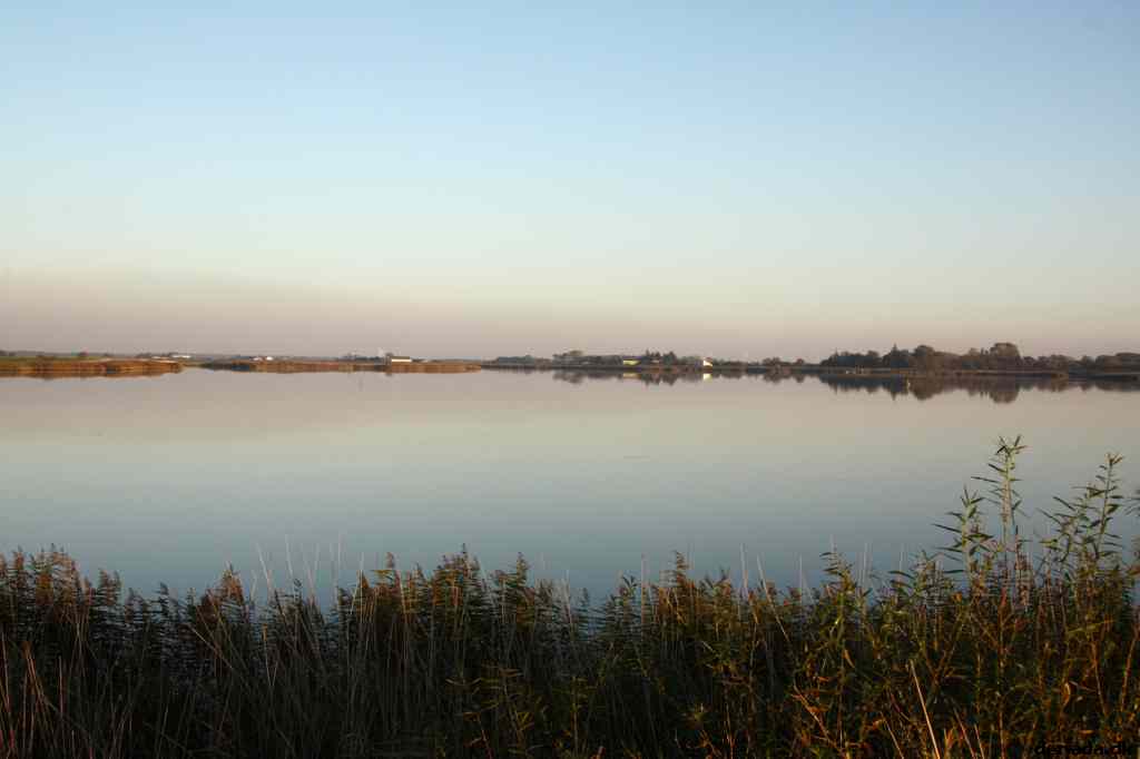* Image 26