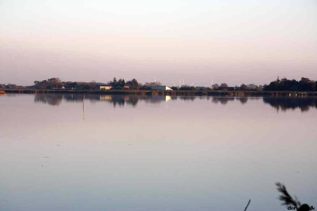 * Image 33