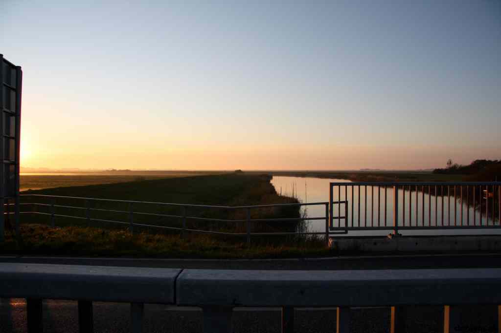 * Image 39