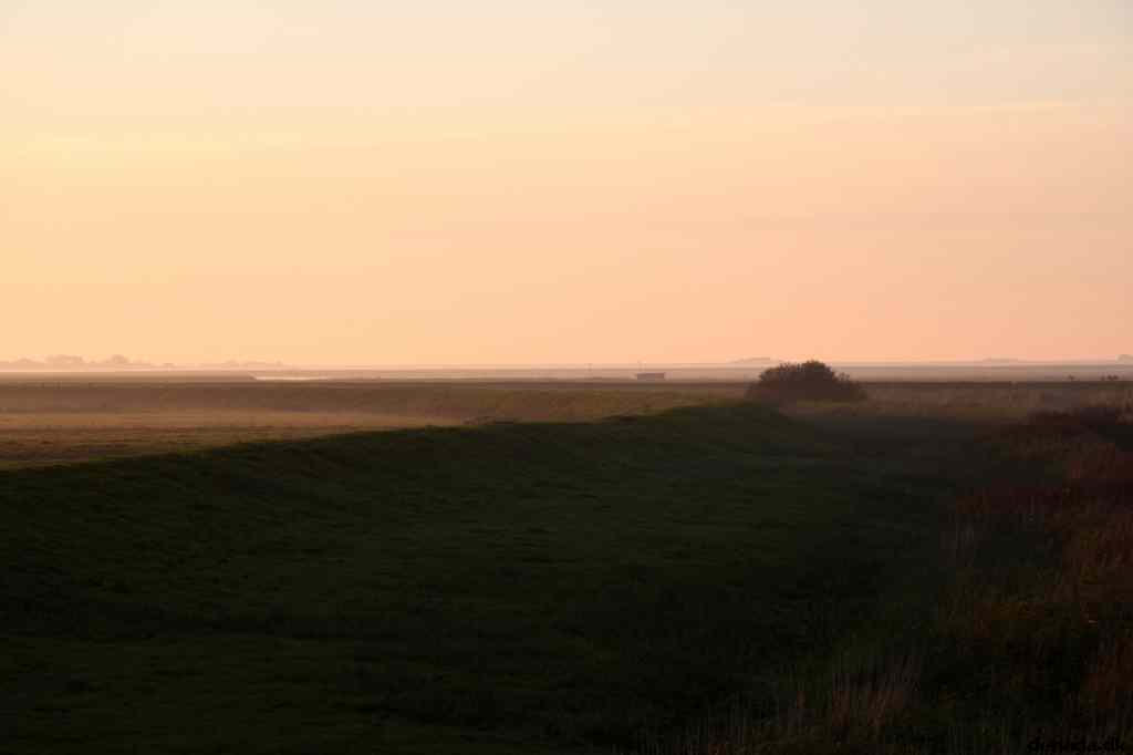 * Image 40