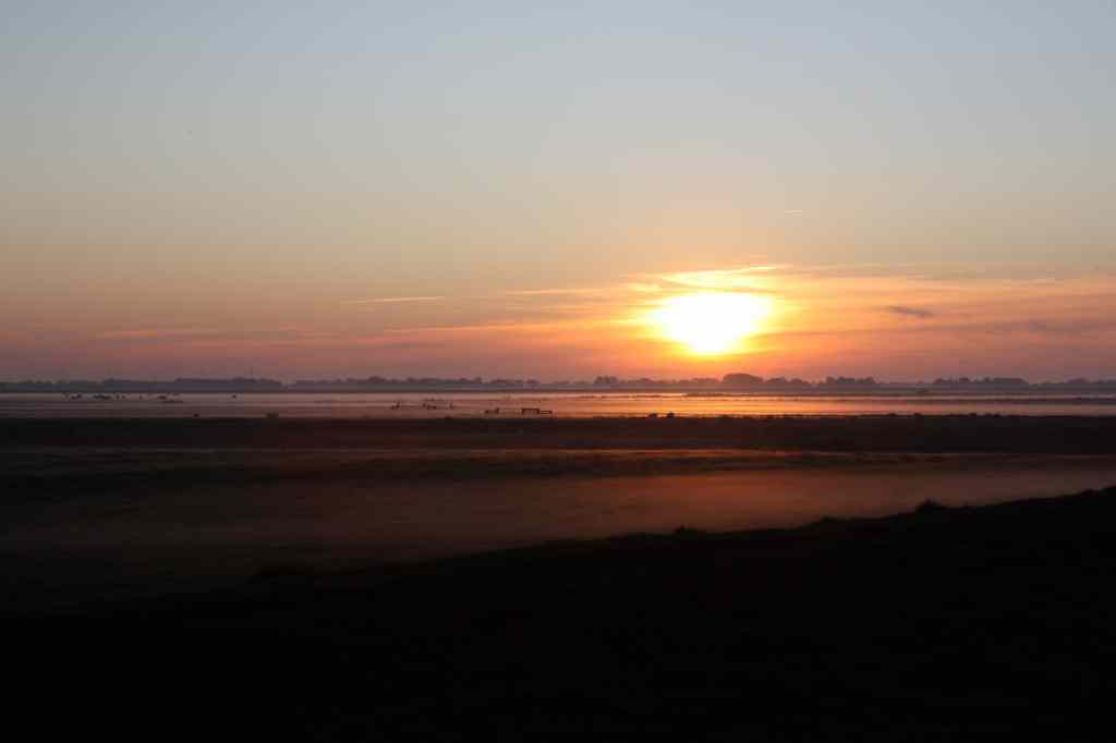 * Image 49
