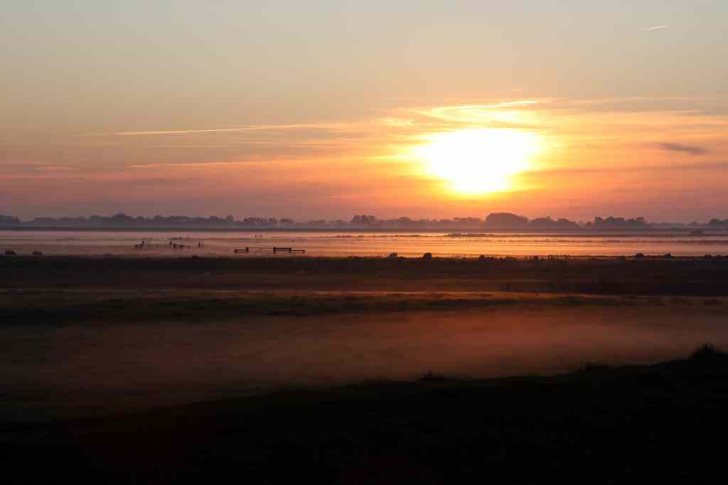 * Image 51