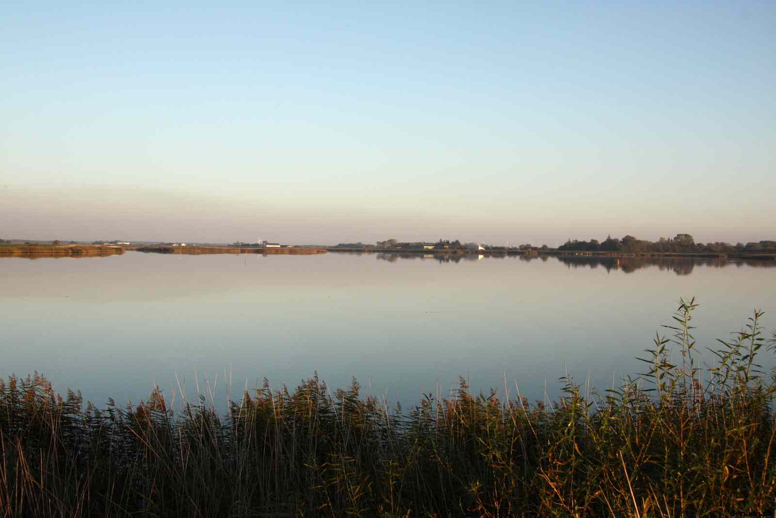 * Image 26