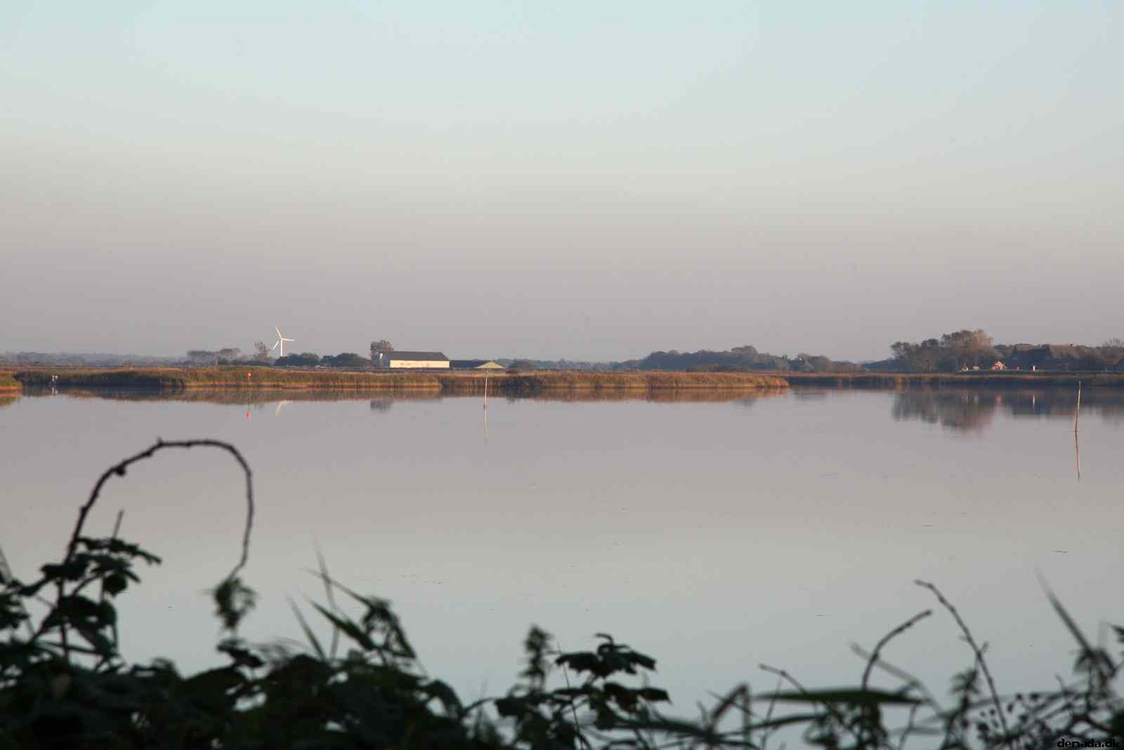 * Image 27