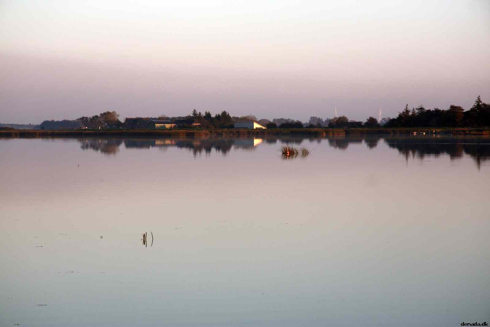 * Image 38