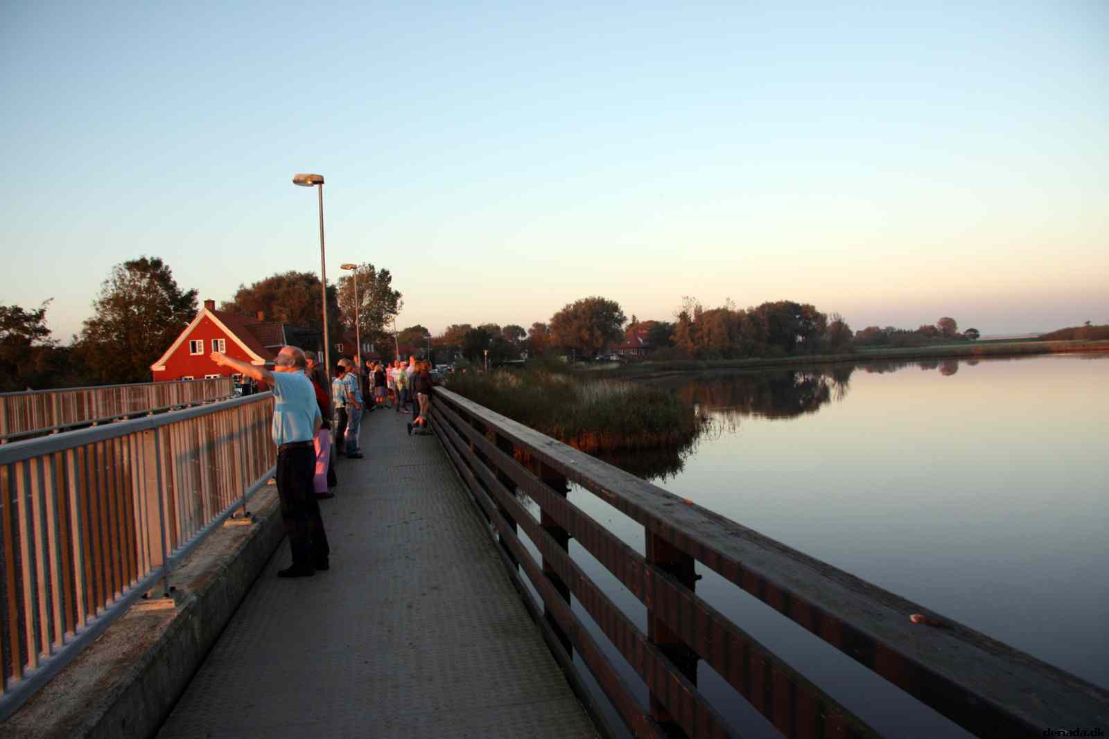 * Image 42