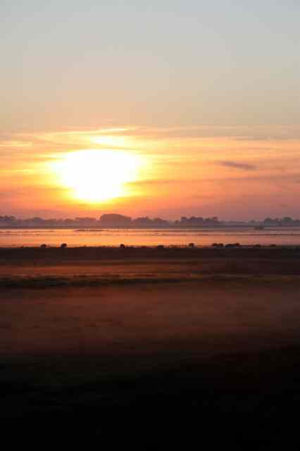 * Image 54