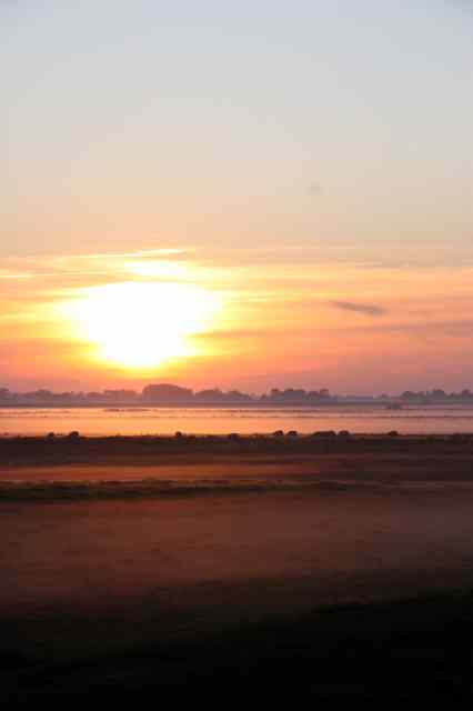 * Image 55