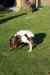 201110010019m.jpg - 2011:10:01 16:56:27