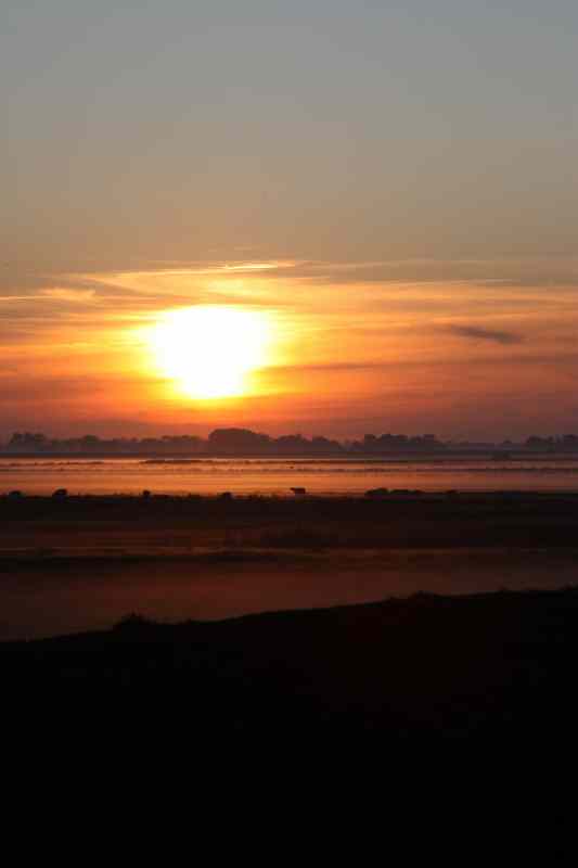 * Image 53