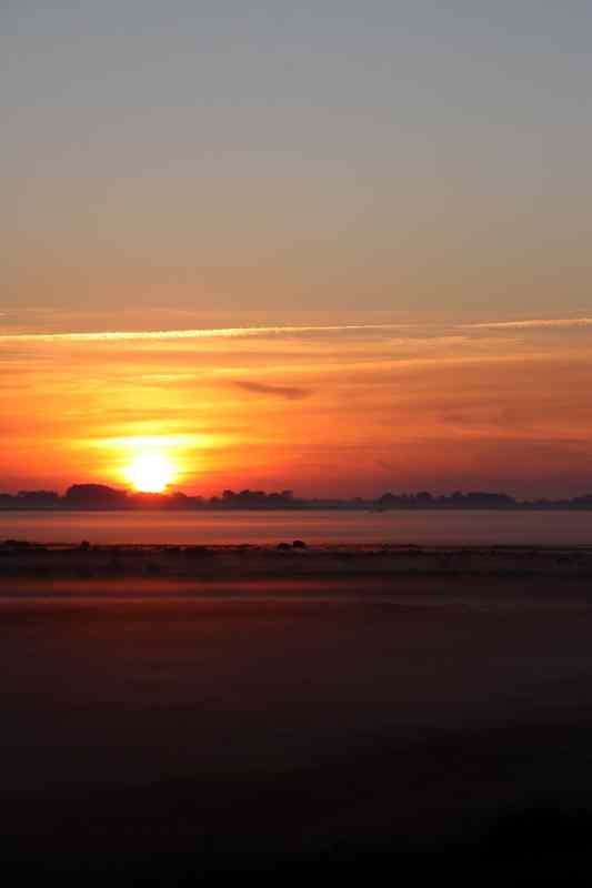 * Image 69