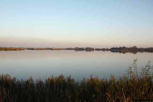 * Image 26