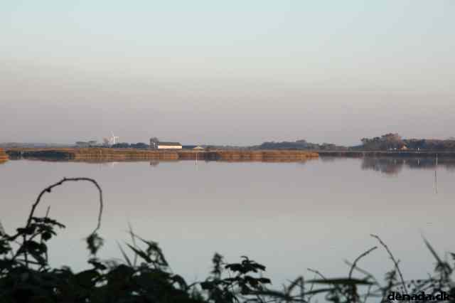 * Image 27