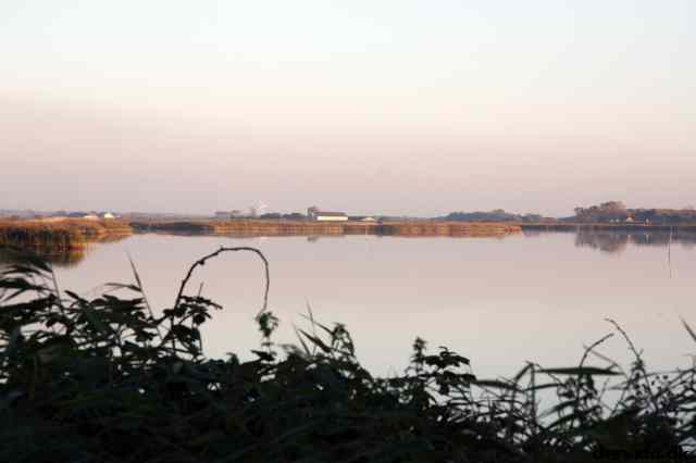 * Image 28