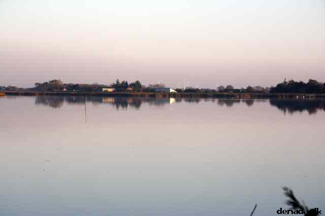 * Image 33