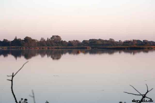 * Image 35