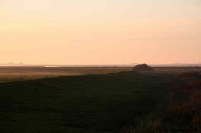 * Image 40