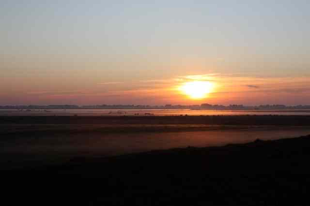 * Image 49