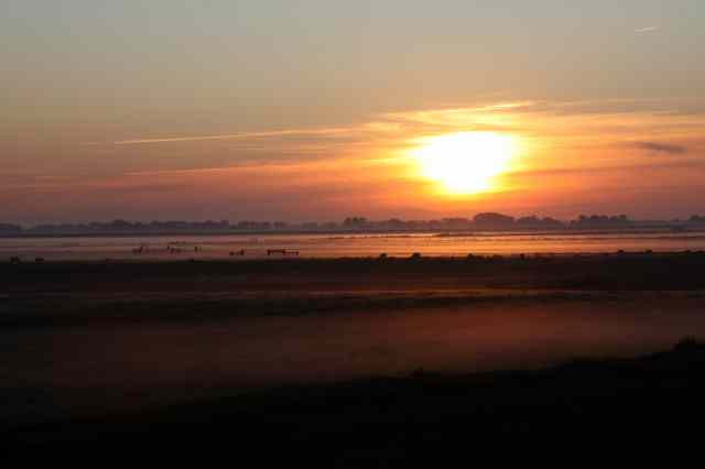 * Image 52