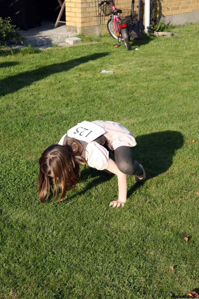 * Image 14