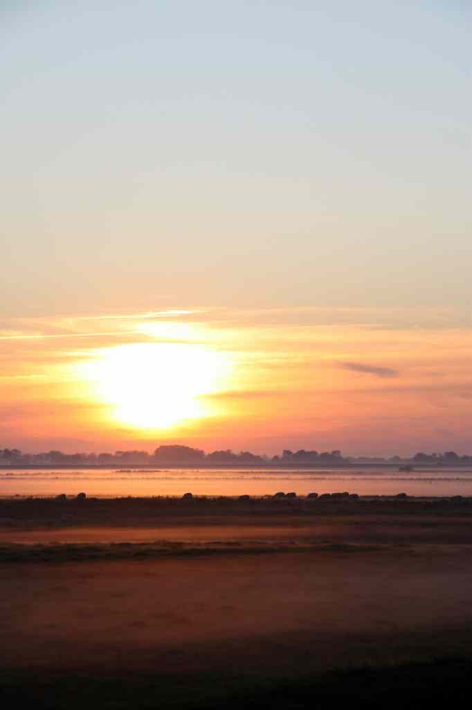* Image 56