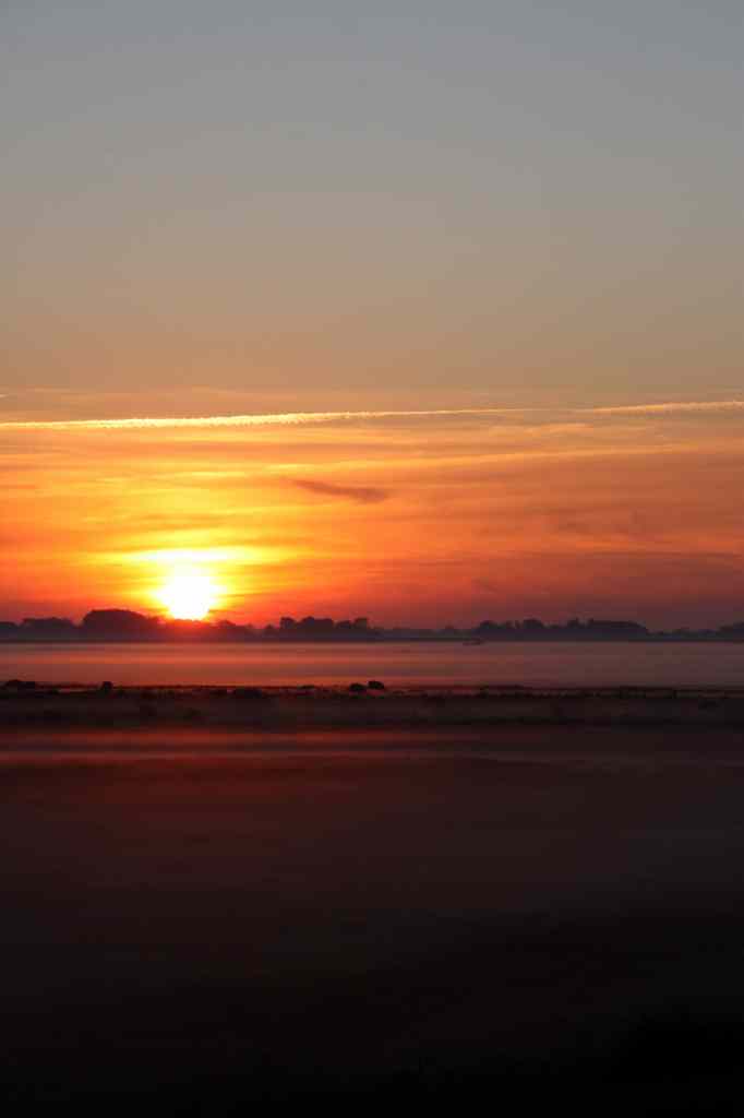 * Image 69