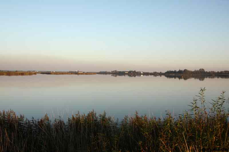 * Image 26