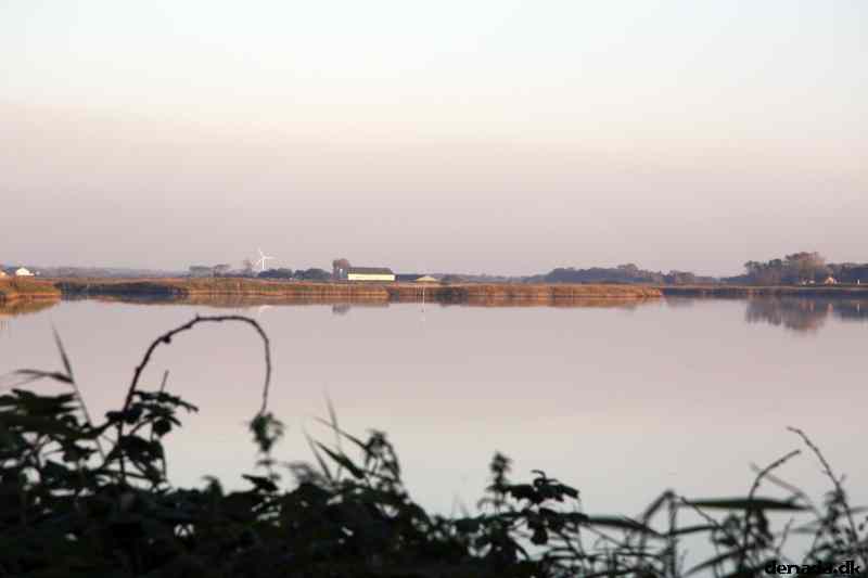 * Image 29