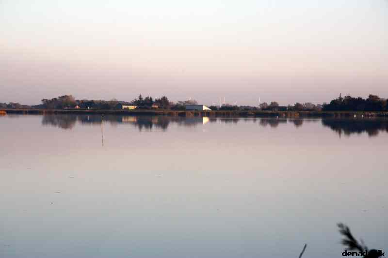 * Image 33