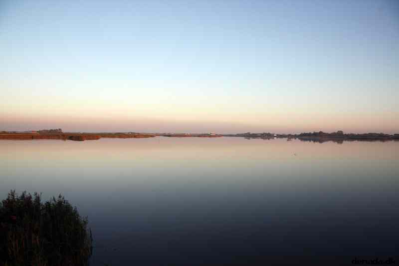 * Image 37