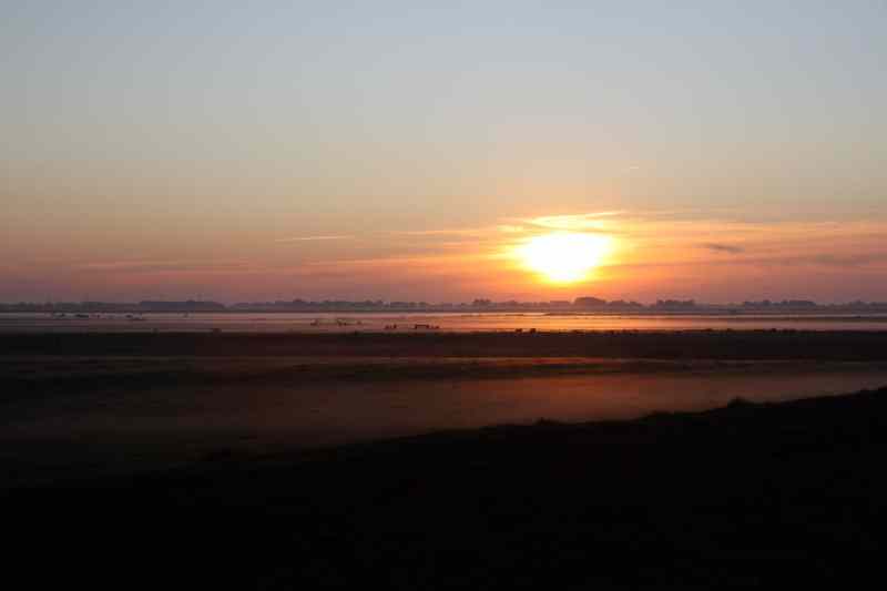 * Image 49