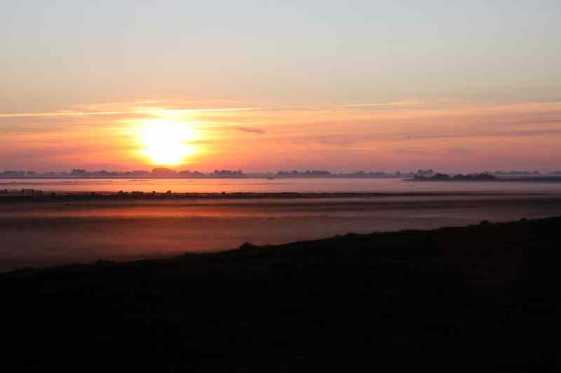 * Image 57