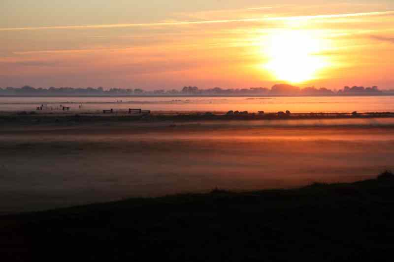 * Image 60