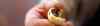 201111130023m.jpg - 2011:11:13 14:11:15