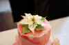 201111130017m.jpg - 2011:11:13 14:02:03