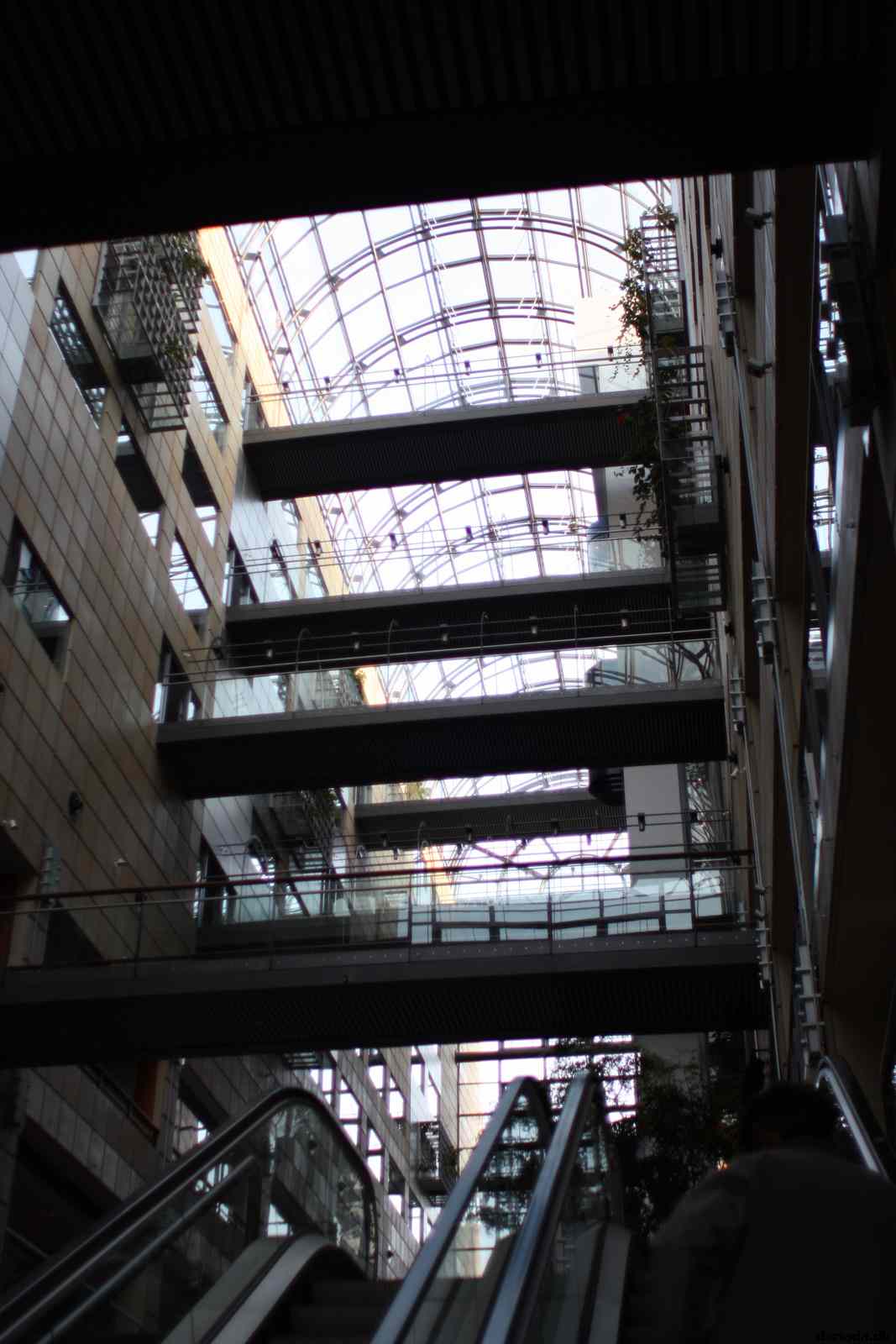 * Image 40