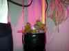 20120210_174637m.jpg - 2012:02:10 17:46:37