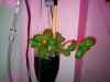20120210_174650m.jpg - 2012:02:10 17:46:49