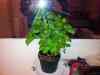 20120210_174711m.jpg - 2012:02:10 17:47:11