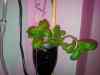 20120210_202646m.jpg - 2012:02:10 20:26:45