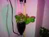 20120211_083438m.jpg - 2012:02:11 08:34:38