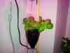 20120212_174852m.jpg - 2012:02:12 17:48:52