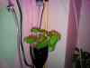 20120217_215811m.jpg - 2012:02:17 21:58:11
