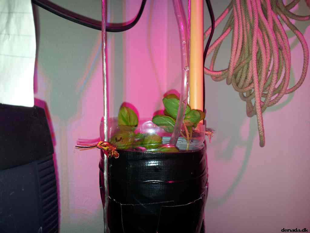 * Image 1