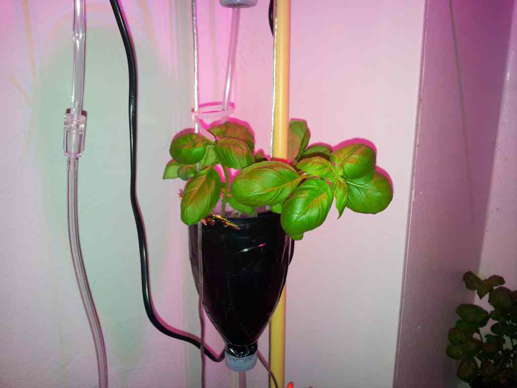 * Image 6