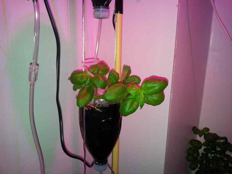 * Image 5