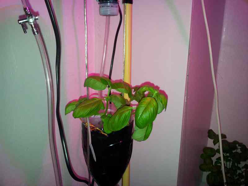 * Image 7