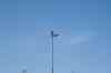 201203300012.jpg - 2012:03:30 11:54:54