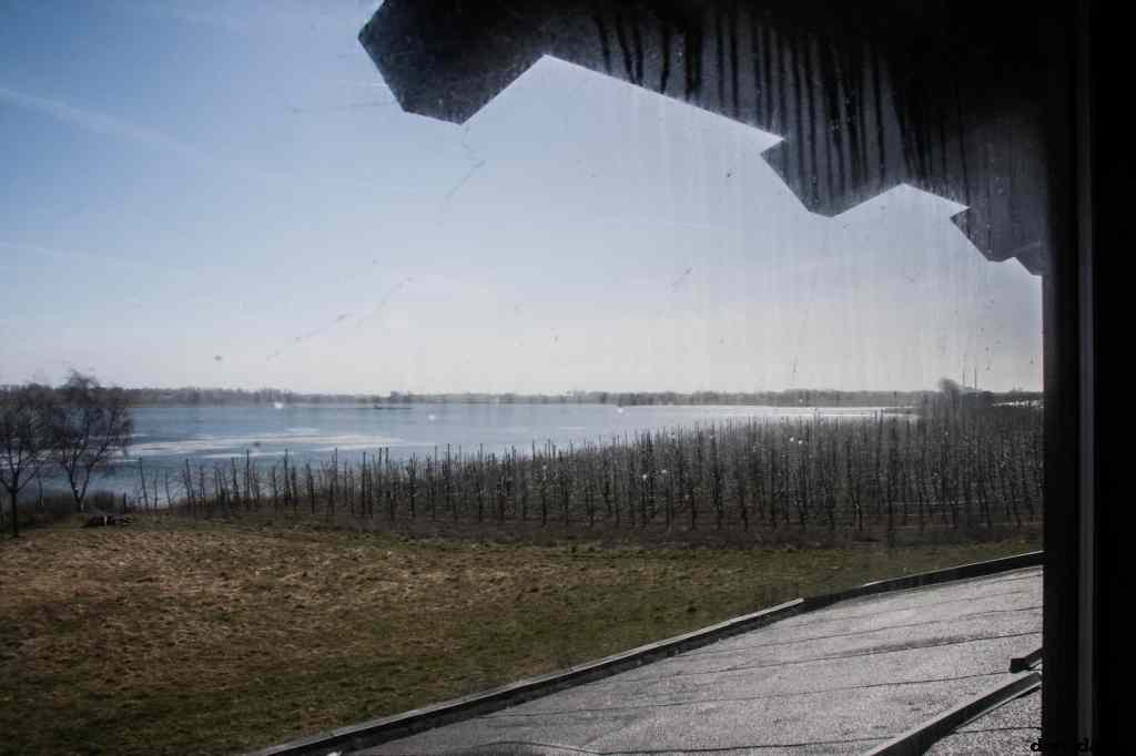 * Image 82