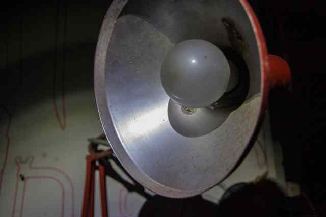 * Image 101